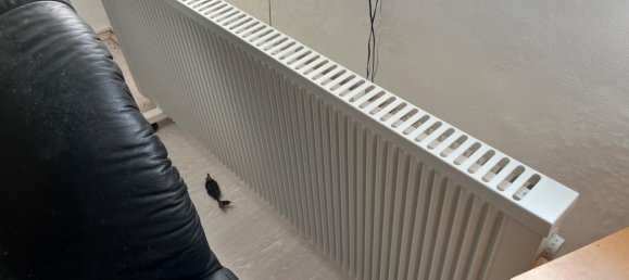 1 Schlafzimmer Haus in Burgenlandkreis, Germany, Nr. 68247 8