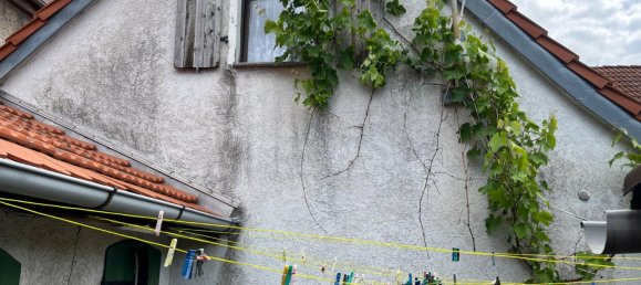 1 Schlafzimmer Haus in Burgenlandkreis, Germany, Nr. 68247 5