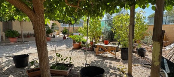 3 bedrooms House in Los Alcazares, Spain No. 166192 7