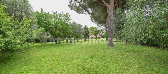 3 Schlafzimmer Villa in Pisa, Italy, Nr. 72334 49