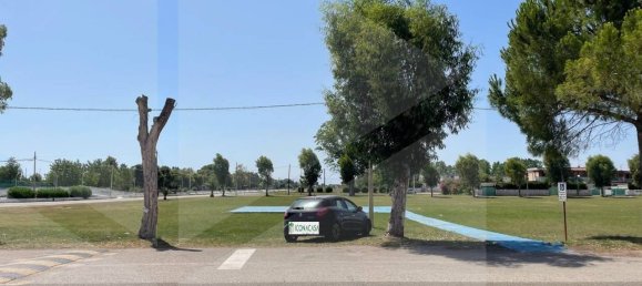 1 bedroom Apartment in Manfredonia, Italy No. 23495 2