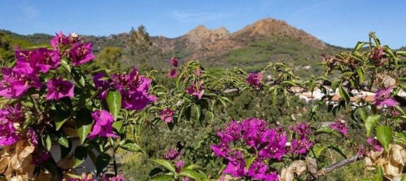 5 Schlafzimmer Villa in Porto Azzurro, Italy, Nr. 104602 8