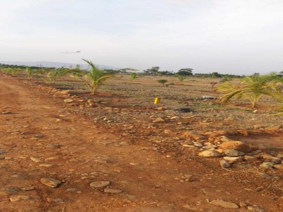  Land in Tirupati Urban, India No. 33509