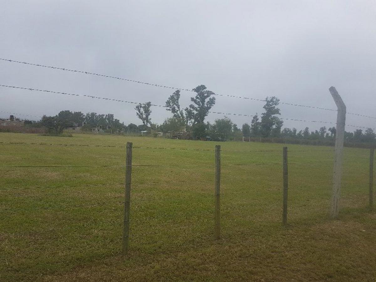  Land in Cordoba, Argentina No. 42051