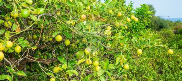 Земельный участок 3800м² в Ачиреале, Италия № 234713 22