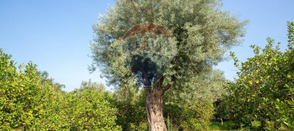 Земельный участок 3800м² в Ачиреале, Италия № 234713 14