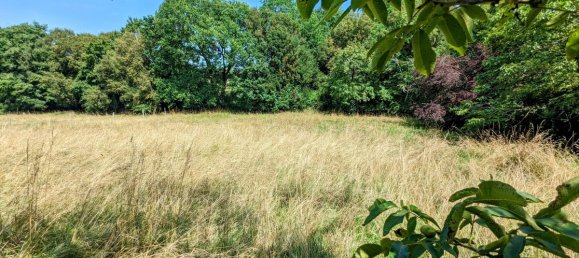 4 bedrooms Villa in Vire-sur-Lot, France No. 205624 5