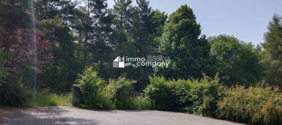  Land in Hollenthon, Austria No. 133876 3