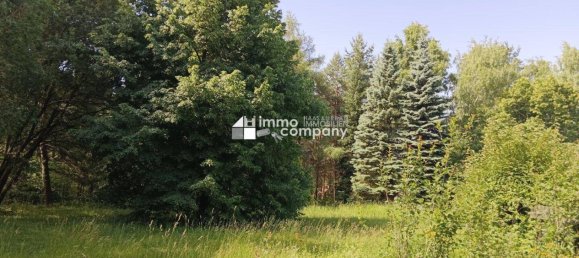  Land in Hollenthon, Austria No. 133876 2