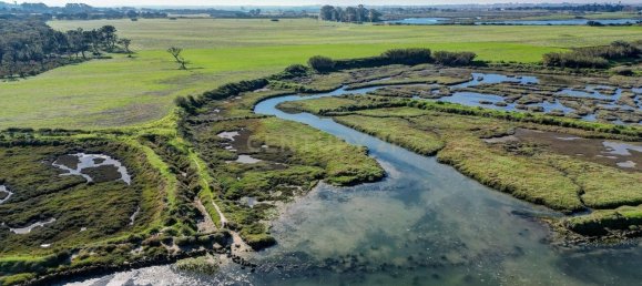 20 غرف نوم قلاع في Moita, Portugal رقم 145792 5