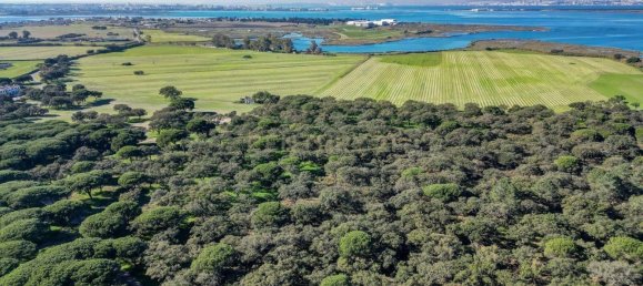 20 غرف نوم قلاع في Moita, Portugal رقم 145792 17