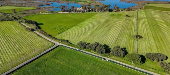 20 غرف نوم قلاع في Moita, Portugal رقم 145792 6