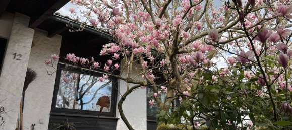 2 bedrooms Bungalow in Hof, Germany No. 227662 22