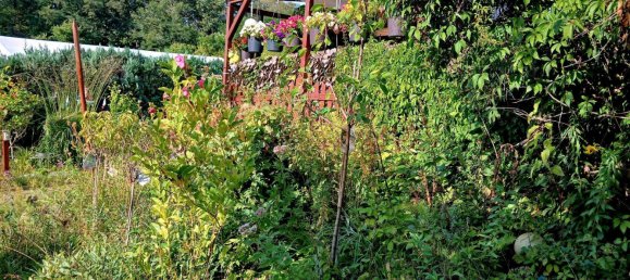 Grundstück in Potsdam-Mittelmark, Germany, Nr. 283077 11