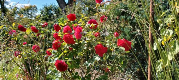 Grundstück in Potsdam-Mittelmark, Germany, Nr. 283077 10