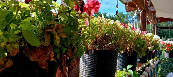 Grundstück in Potsdam-Mittelmark, Germany, Nr. 283077 4