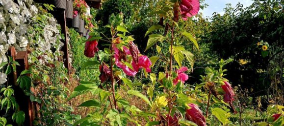 Grundstück in Potsdam-Mittelmark, Germany, Nr. 283077 5