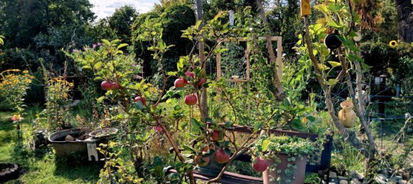 Grundstück in Potsdam-Mittelmark, Germany, Nr. 283077 6