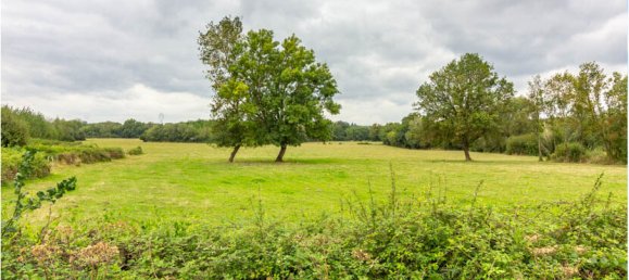  Land in La Chapelle-Montmartin, France No. 255628 2