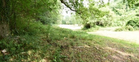  Castillos de 3 dormitorios en Tarn-et-Garonne, France No. 298619 31