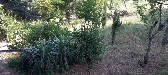 قطعة أرض في Scandicci, Italy 7250متر مربع رقم 82718 7