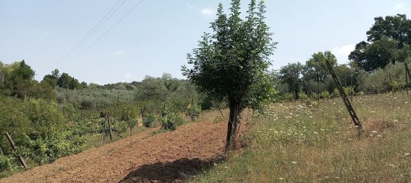 قطعة أرض في Scandicci, Italy 7250متر مربع رقم 82718 8