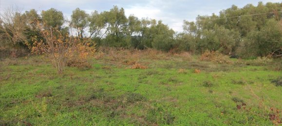 200m² Commercial property in Corfu, Greece No. 5948 4