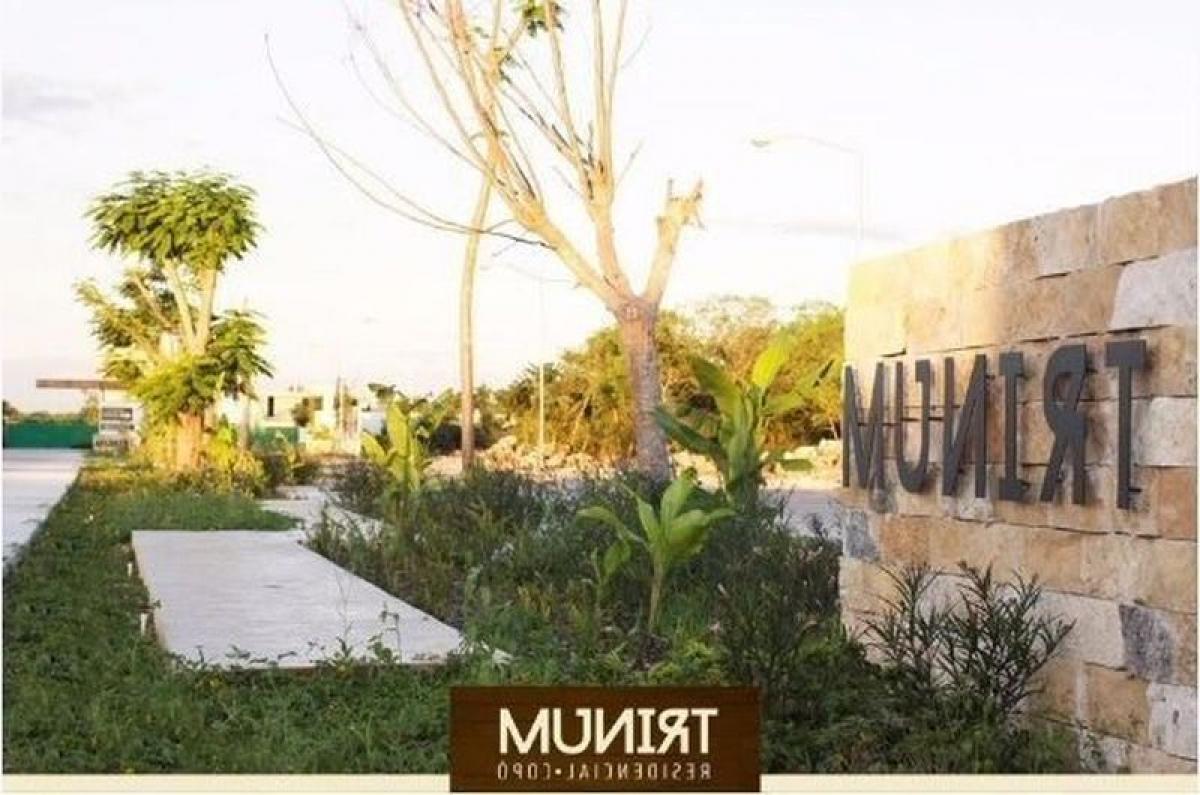 3 bedrooms House in Merida, Mexico No. 20424