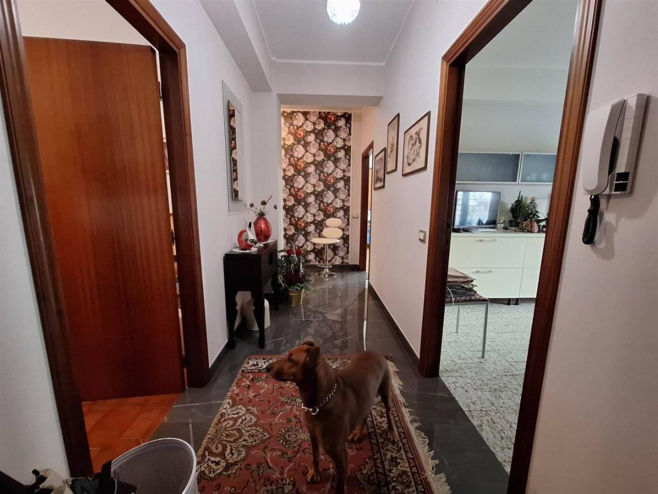 5 rooms Apartment in Treia, Italy No. 30854