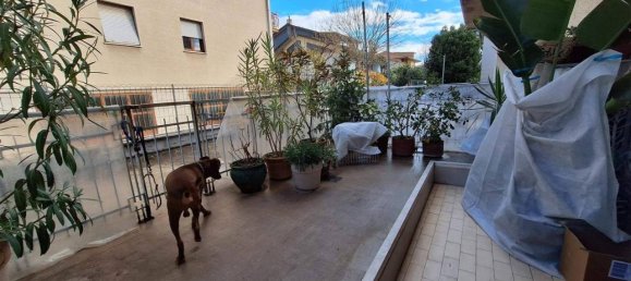 5 rooms Apartment in Treia, Italy No. 30854 10