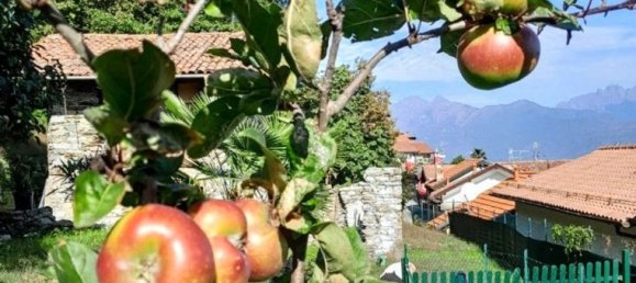 2-Zimmer Haus in Stresa, Italy, Nr. 251197 16