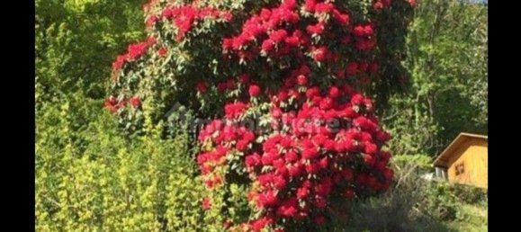 2-Zimmer Haus in Stresa, Italy, Nr. 251197 26