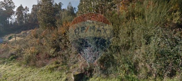 Grundstück in Felgueiras, Portugal 15000m², Nr. 59631 2