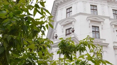 5-Zimmer Wohnung in Wien, Austria, Nr. 231587