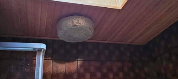 4غرفة قطعة أرض في Baden, Austria رقم 231894 17