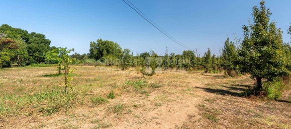 15 bedrooms House in Torres Vedras, Portugal No. 54390 26