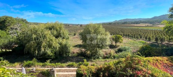 15 bedrooms House in Torres Vedras, Portugal No. 54390 23