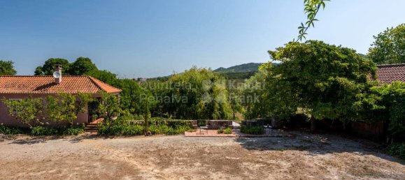 15 bedrooms House in Torres Vedras, Portugal No. 54390 37