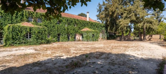 15 bedrooms House in Torres Vedras, Portugal No. 54390 10