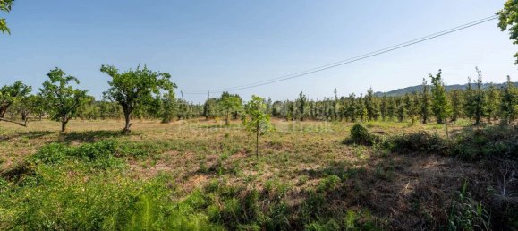 15 bedrooms House in Torres Vedras, Portugal No. 54390 24