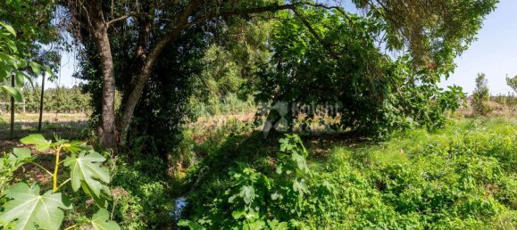 15 bedrooms House in Torres Vedras, Portugal No. 54390 25