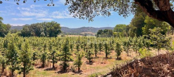 15 bedrooms House in Torres Vedras, Portugal No. 54390 27