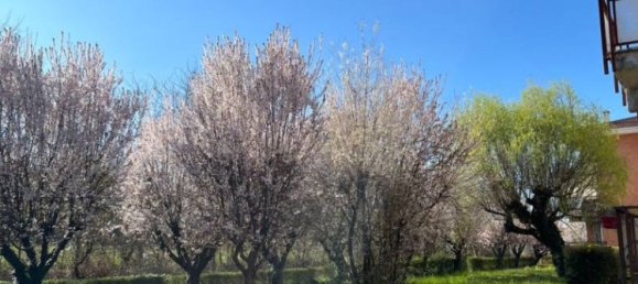 2 bedrooms Apartment in Mondovì, Italy No. 284571 19