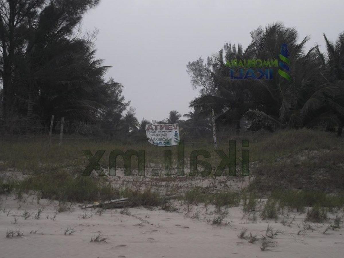  Land in Veracruz, Mexico No. 202816