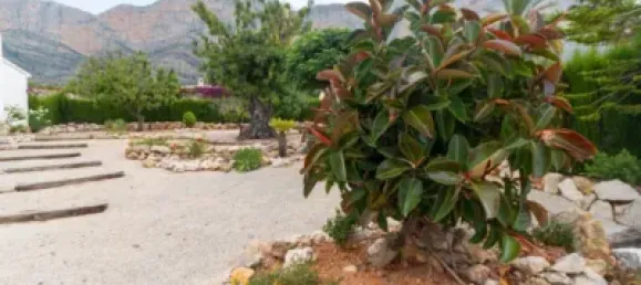 Вилла с 6 спальнями в Аликанте, Испания № 135761 4