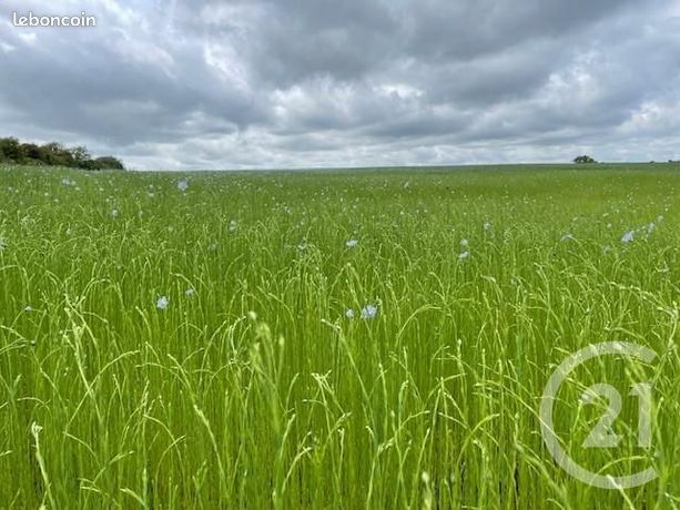 Grundstück in Gisors, France 1654m², Nr. 356351