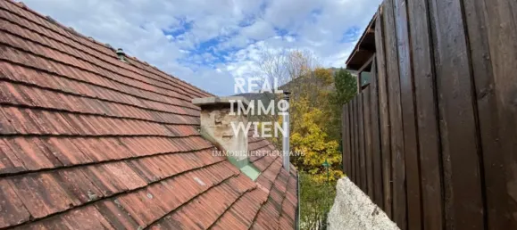 3 rooms House in Grunbach am Schneeberg, Austria No. 29871 10