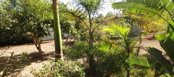 6 chambres Villa à Arona, Spain No. 27697 40