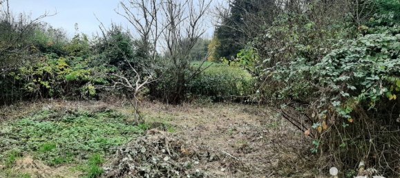 7-Zimmer Haus in Girondelle, France, Nr. 237995 11