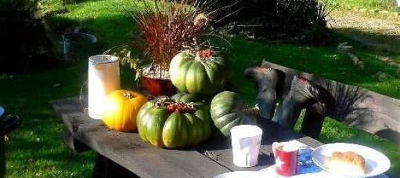 6 rooms House in St. Roman, Austria No. 162087 6